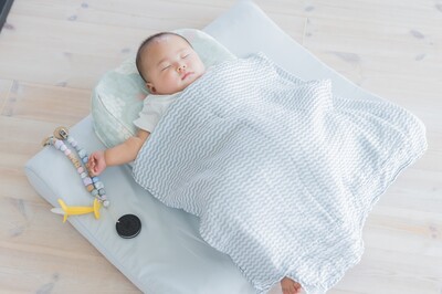[product_246413]